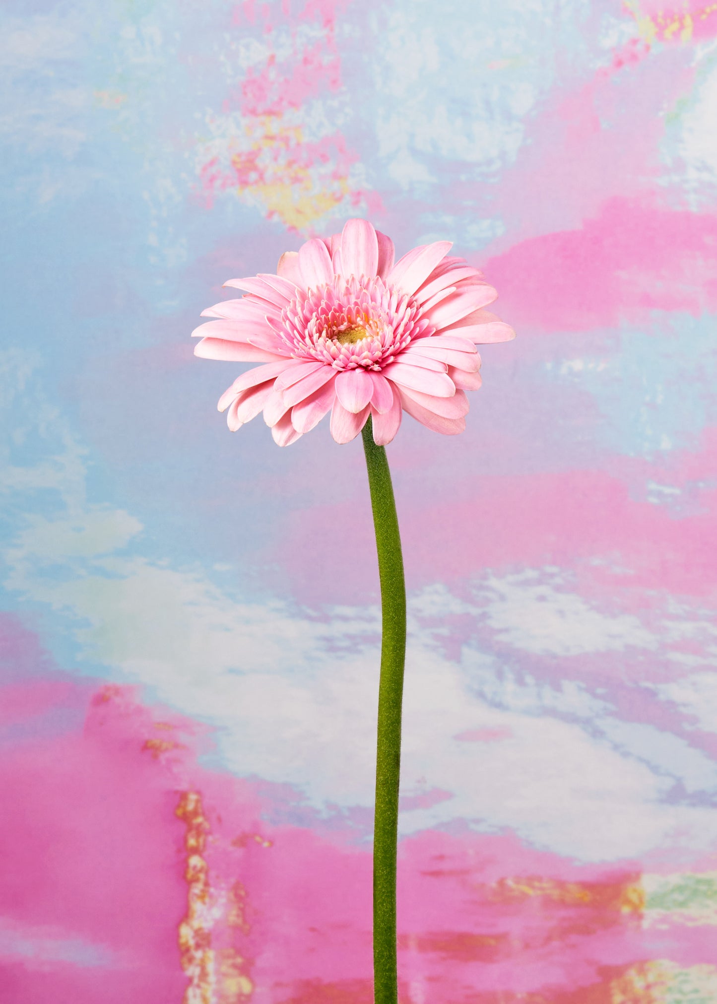 Lush Vinyl Photography Backdrop by Club Backdrops