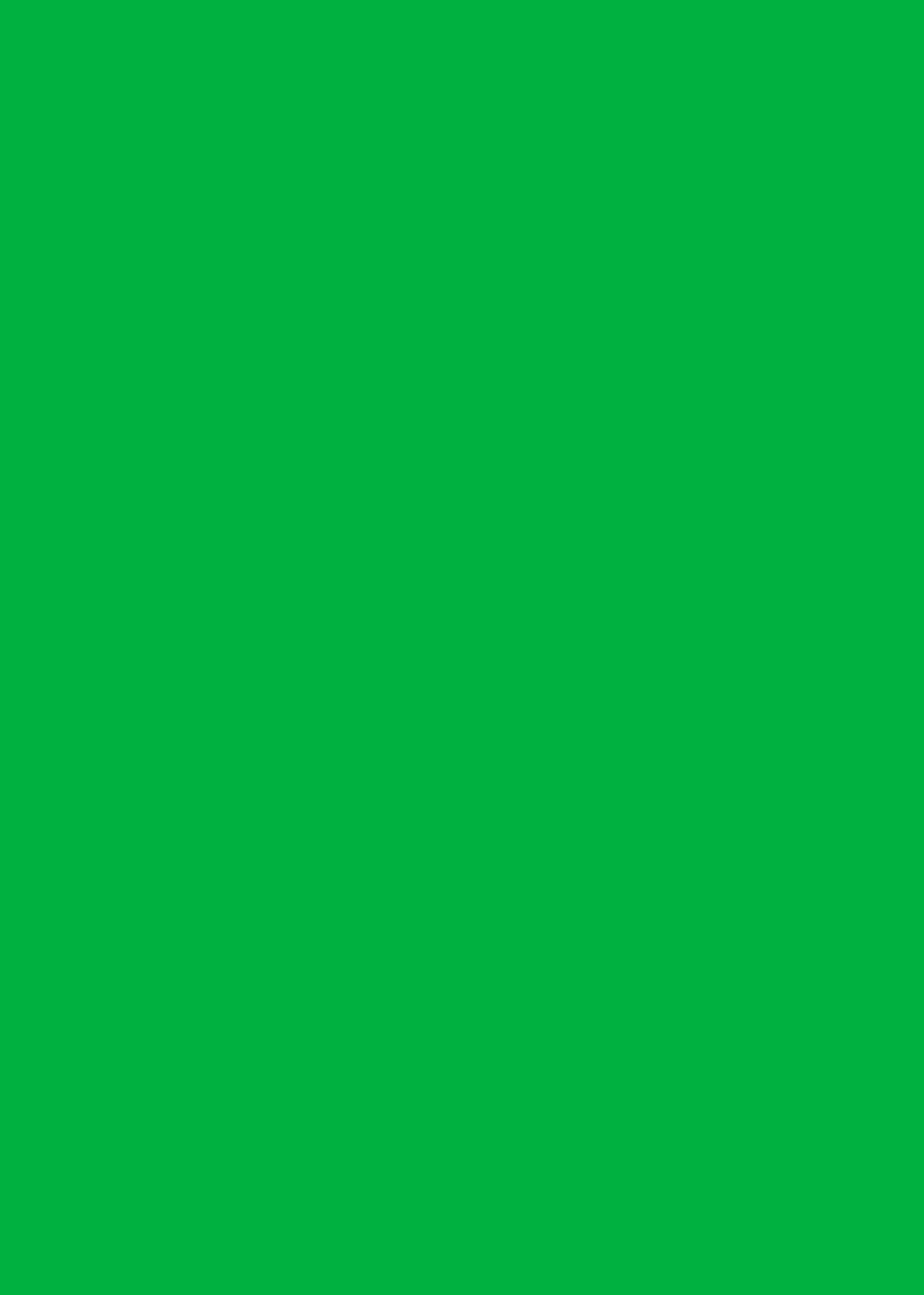 Chroma Vinyl Photography Backdrop by Club Backdrops