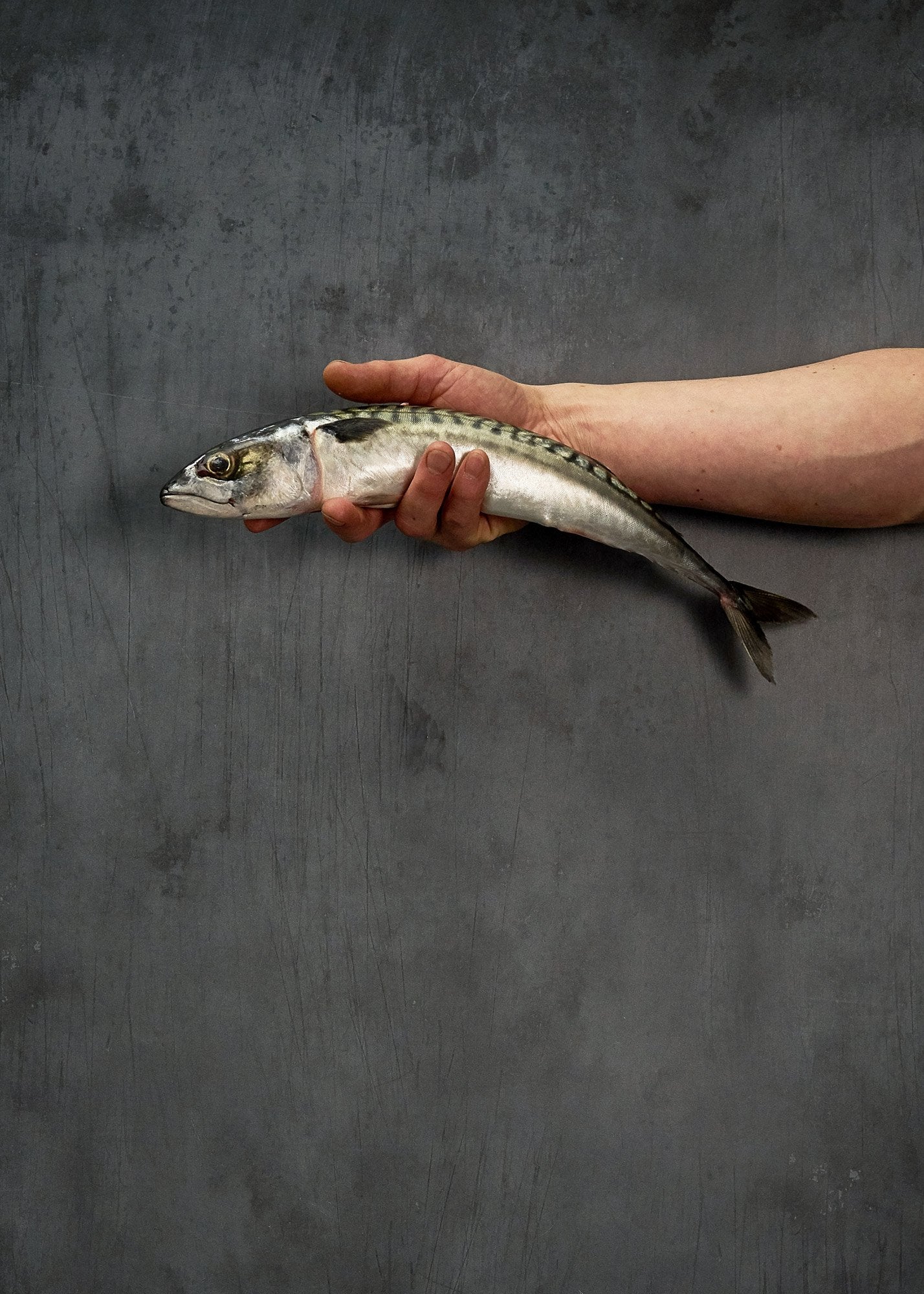 Graphite Vinyl Photography Backdrop by Club Backdrops