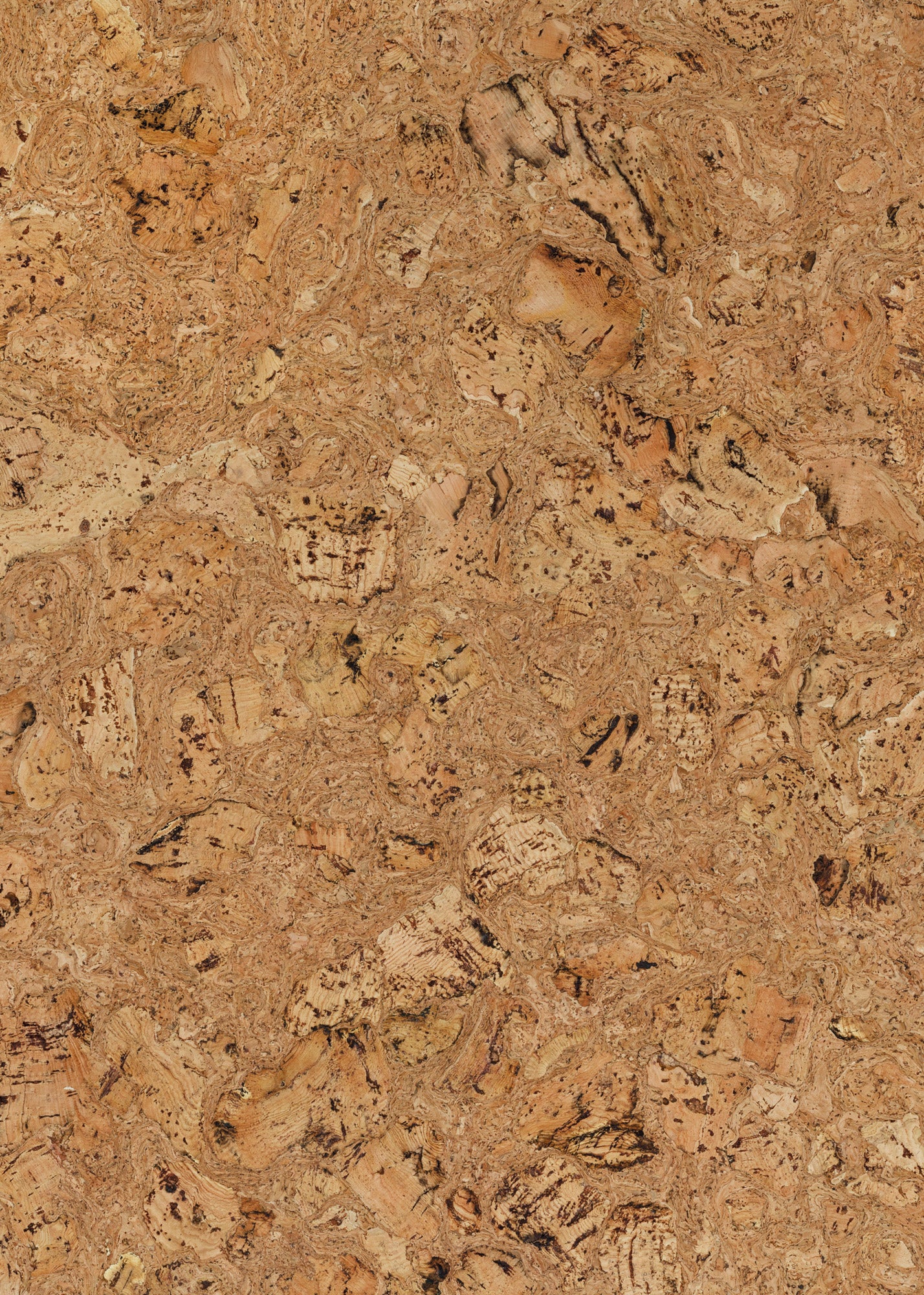 Quercus Vinyl Photography Backdrop by Club Backdrops