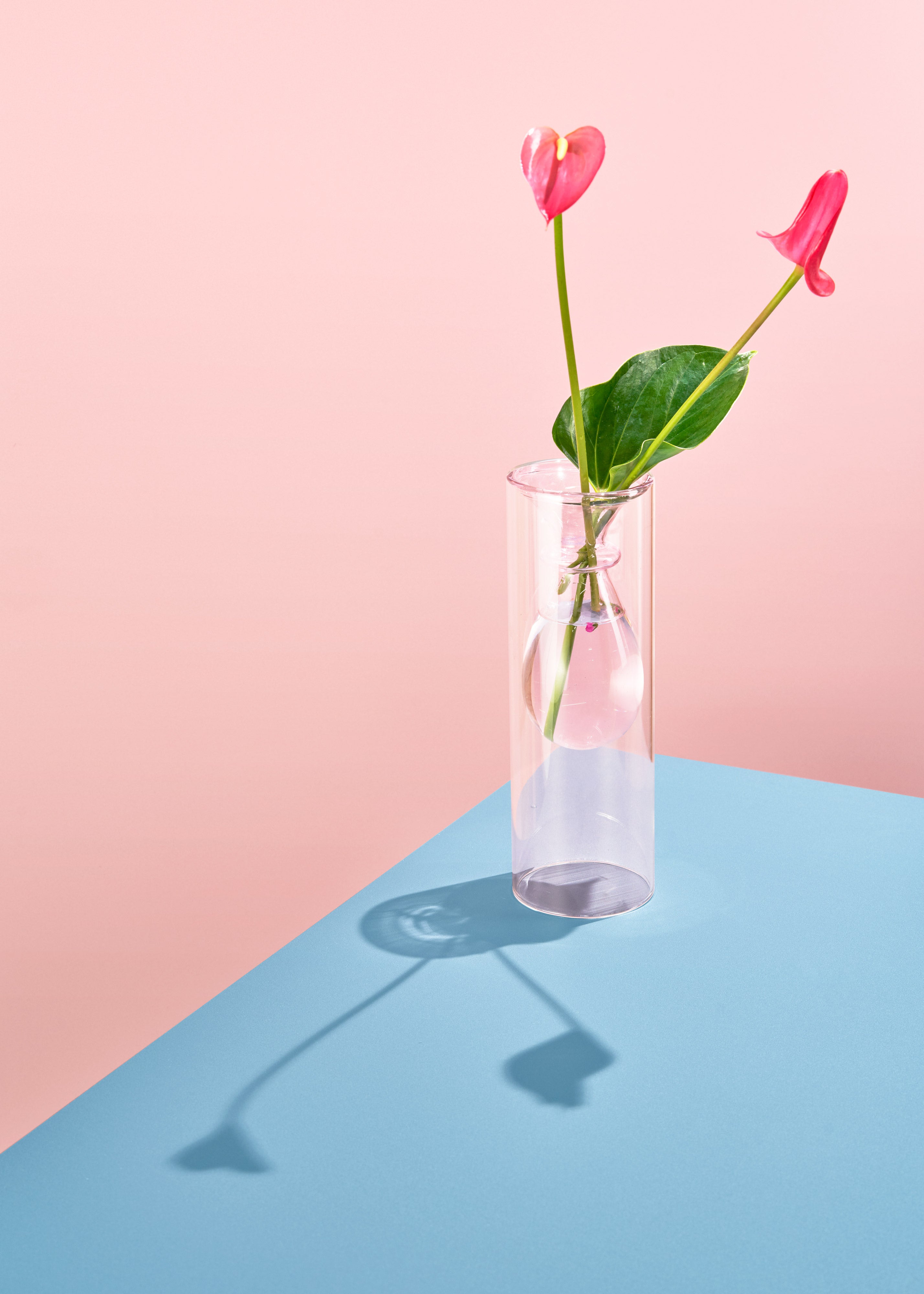 Vflat Backdrops Flat Pink Vinyl Backdrop for Product & Food Photography – Club Backdrops